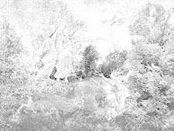 Lemusichs Garten No. 5/1
