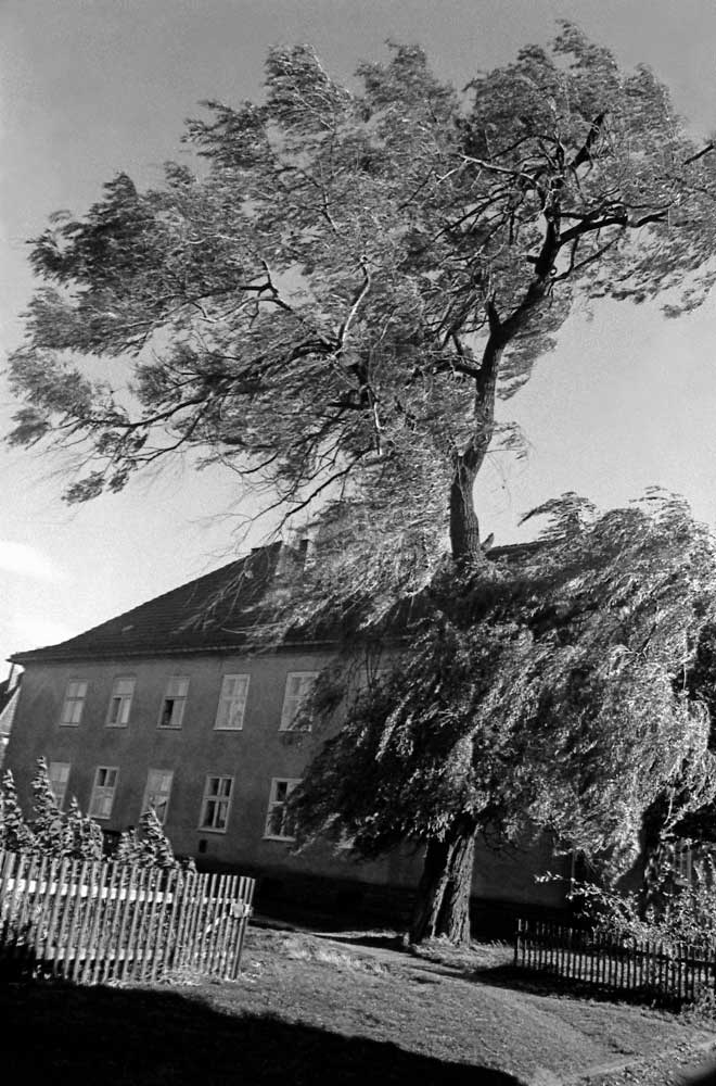 Bernd Weingart – Whispering Gallery, chap. 1 / No. 147 (1986-1989)