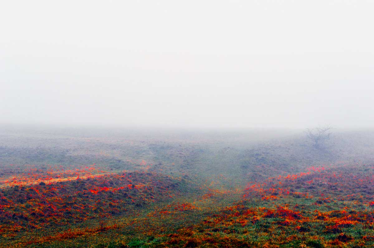 Bernd Weingart – Ode for the Rother Hög No. 2 (2013)