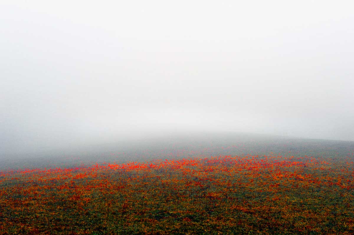 Bernd Weingart – Ode for the Rother Hög No. 3 (2013)