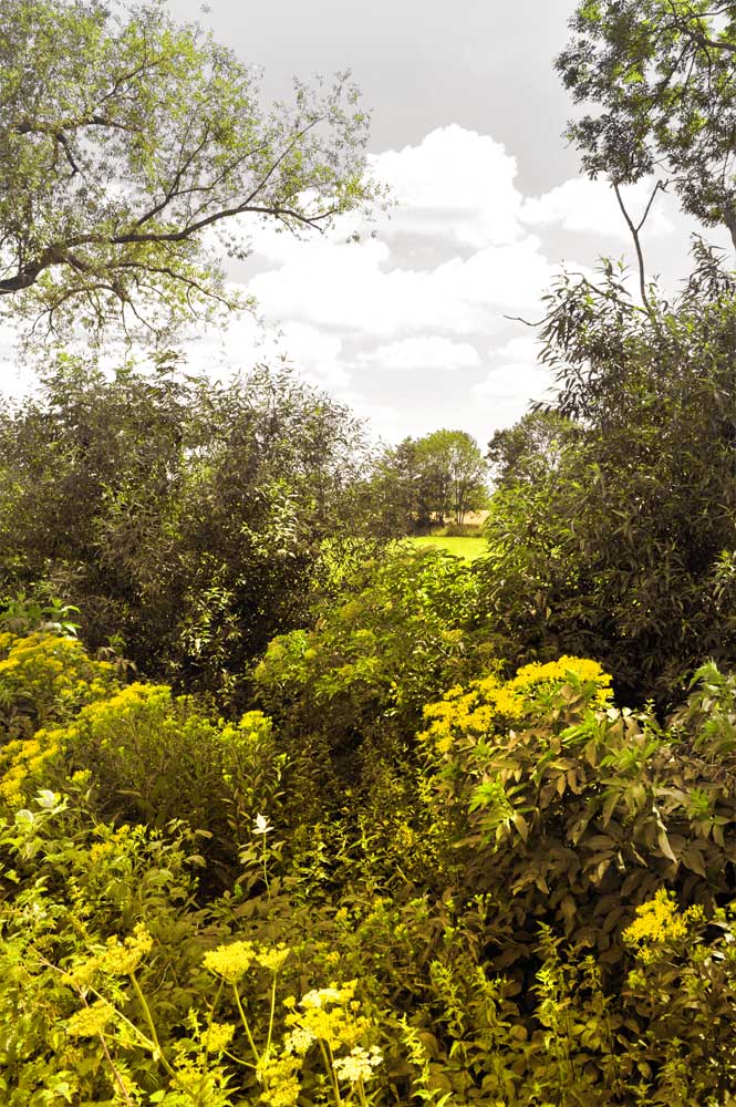 Bernd Weingart – Ode an den Feldweg Nr. 2 (2015)