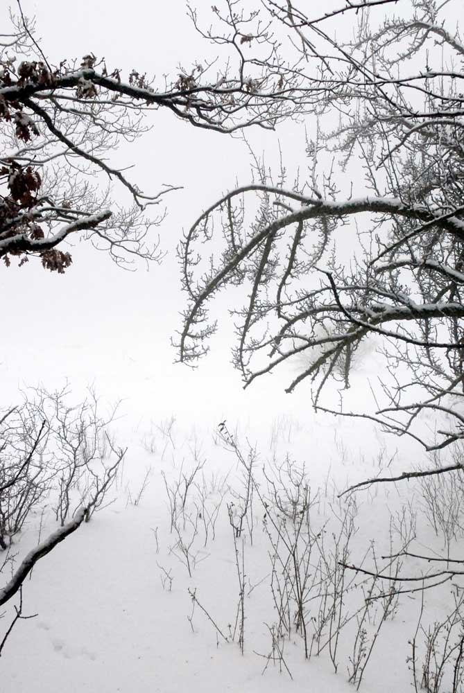 Bernd Weingart – Ode an die Eiswiese Nr. 1 (2010)