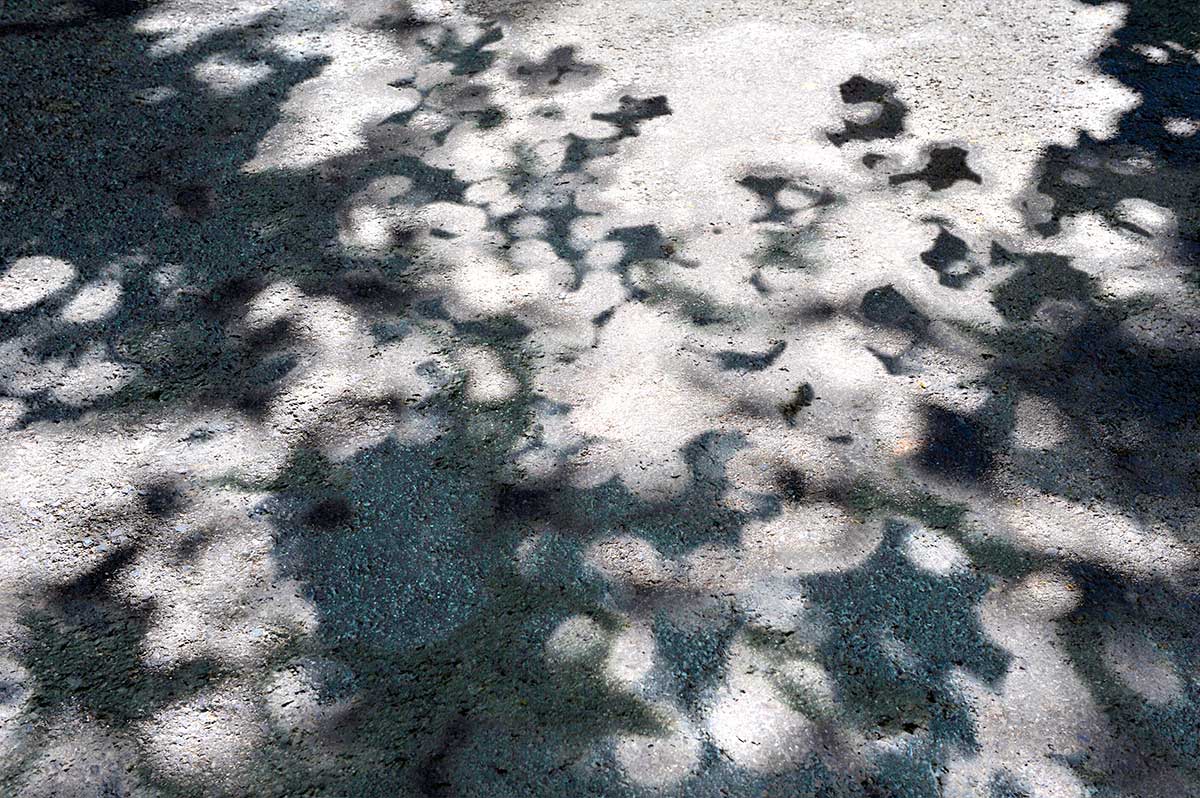 Bernd Weingart – White Path, Fig. 008 (2012)