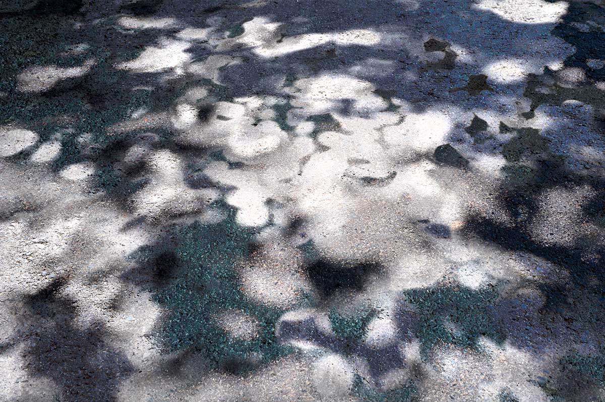 Bernd Weingart – White Path, Fig. 009 (2012)