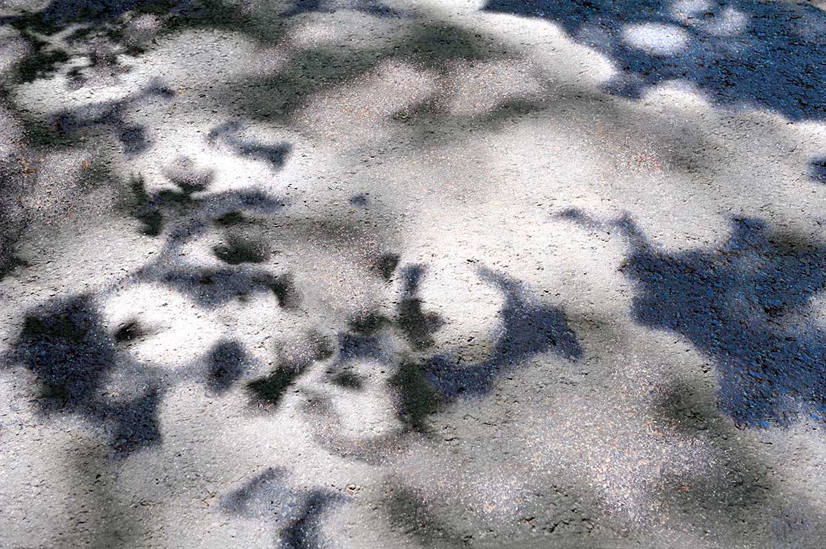 Bernd Weingart – White Path, Fig. 013 (2012)