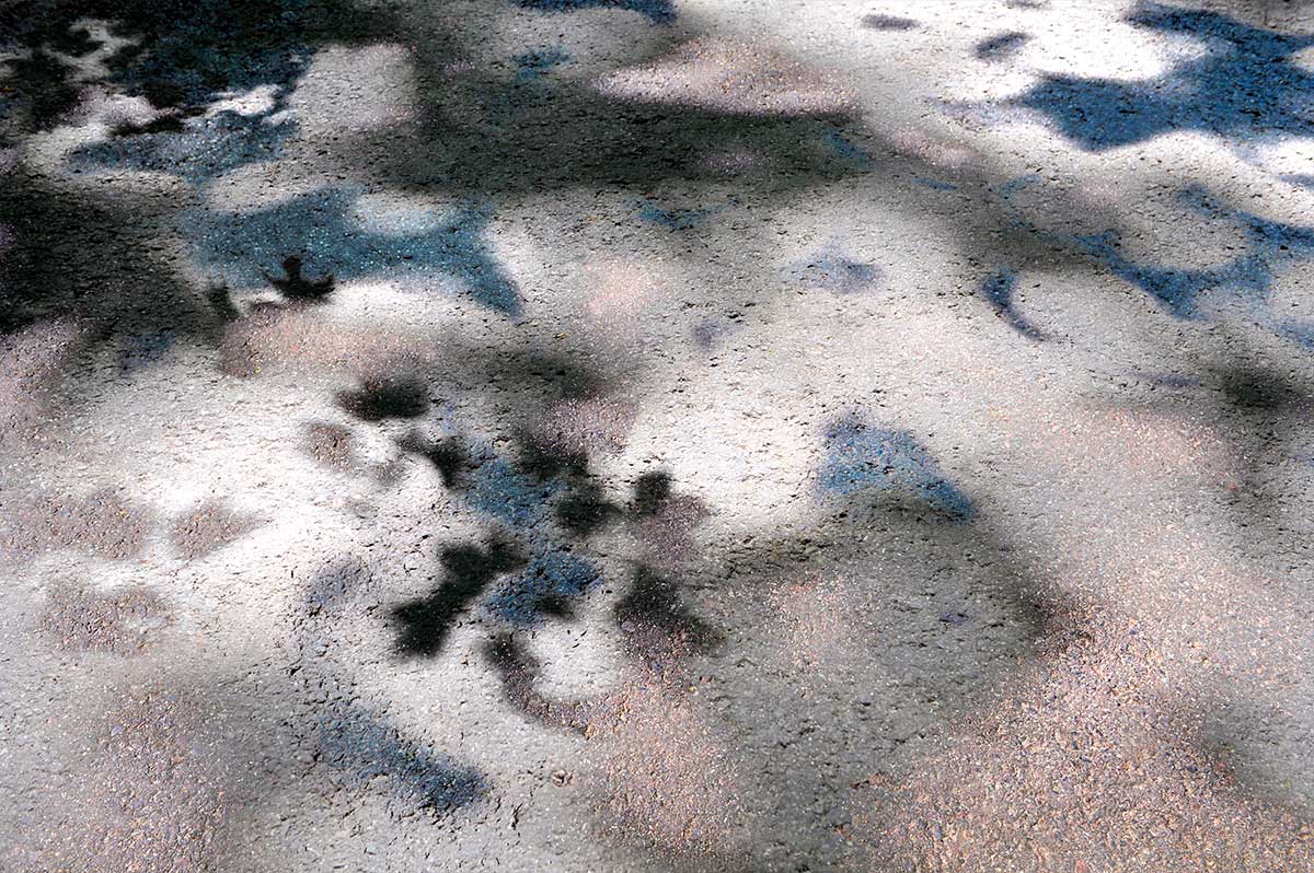 Bernd Weingart – White Path, Fig. 014 (2012)