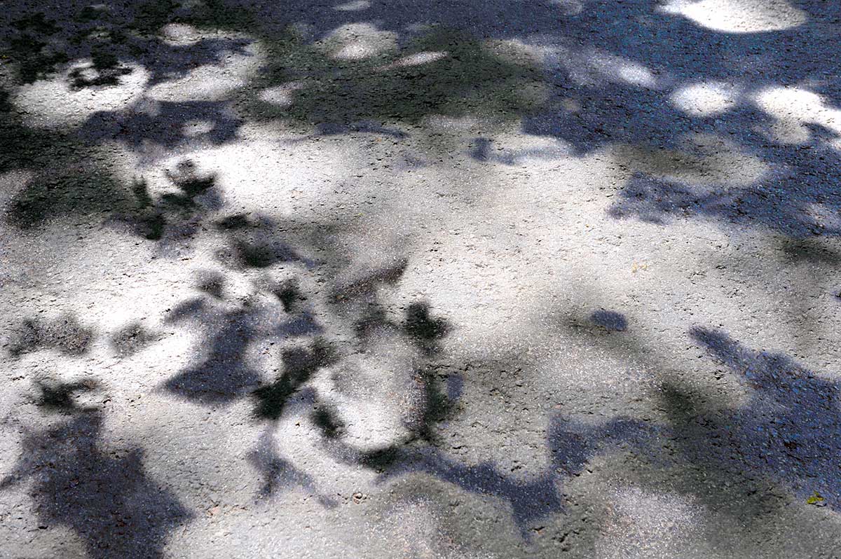 Bernd Weingart – White Path, Fig. 015 (2012)