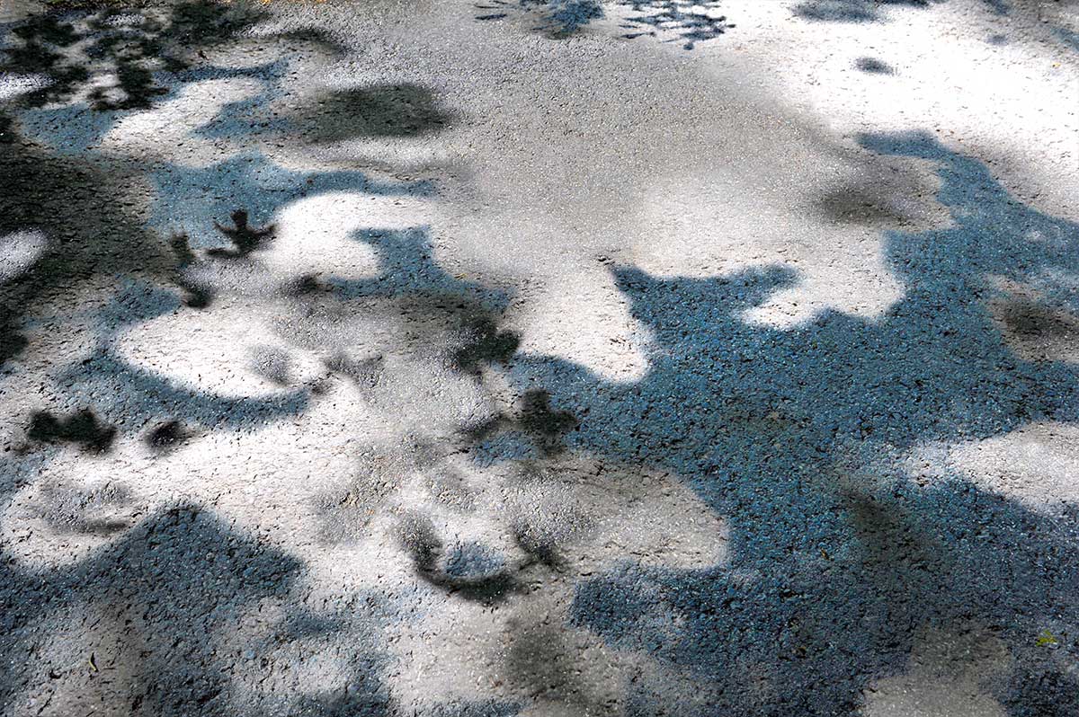 Bernd Weingart – White Path, Fig. 017 (2012)