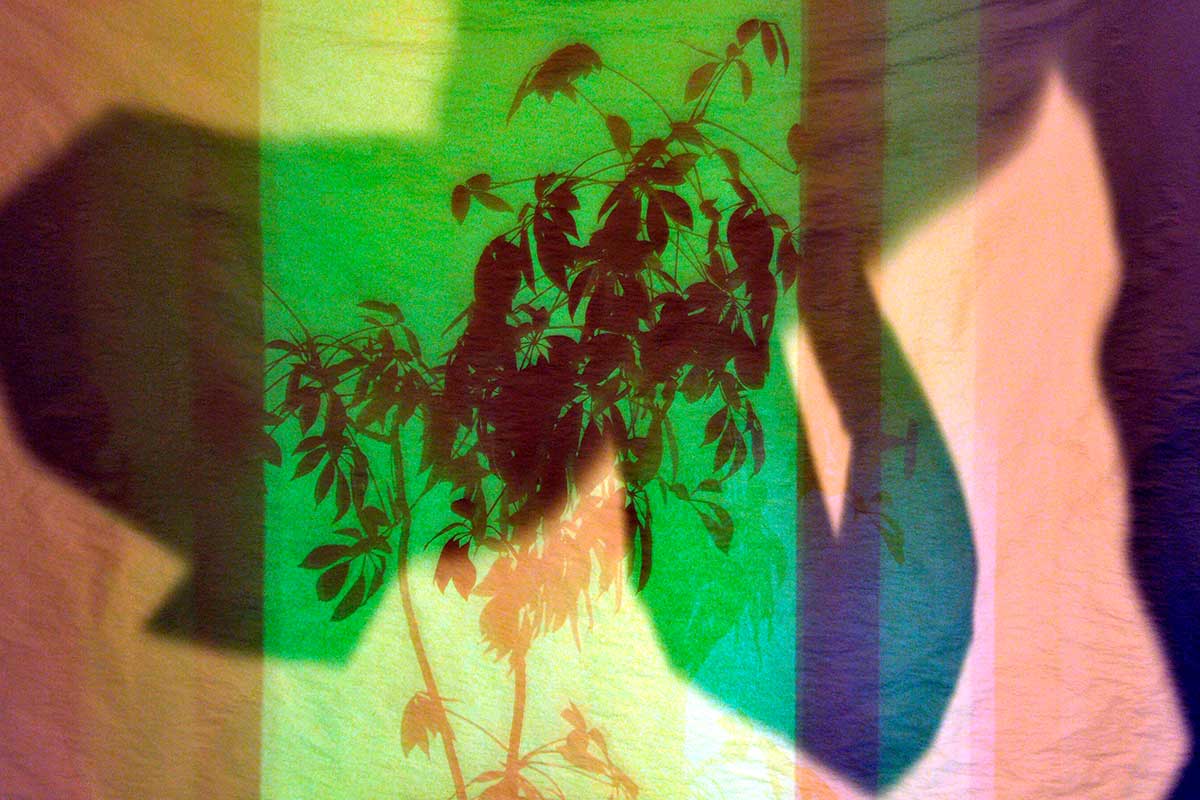 Bernd Weingart – Píyǐngxí, Nr. 06/1 (2012)