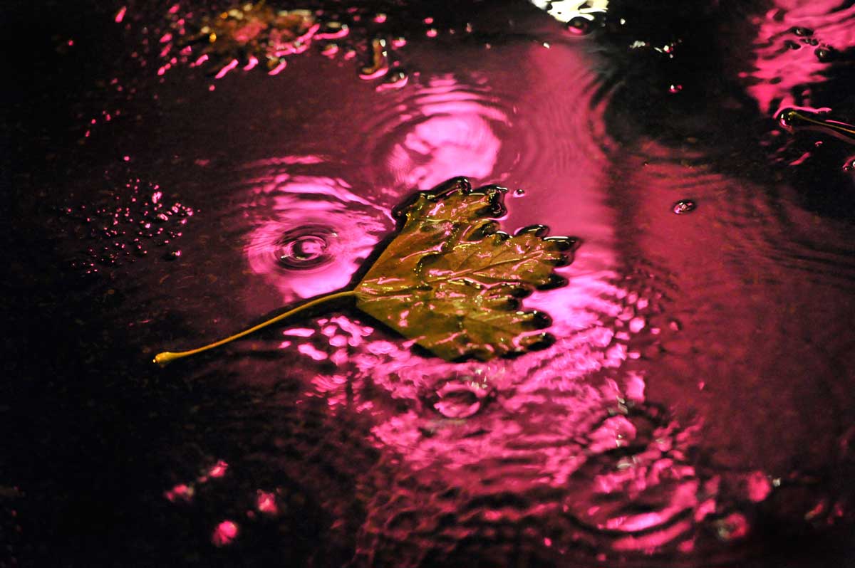 Bernd Weingart – Nachtstücke, Nr. 74 (2013)