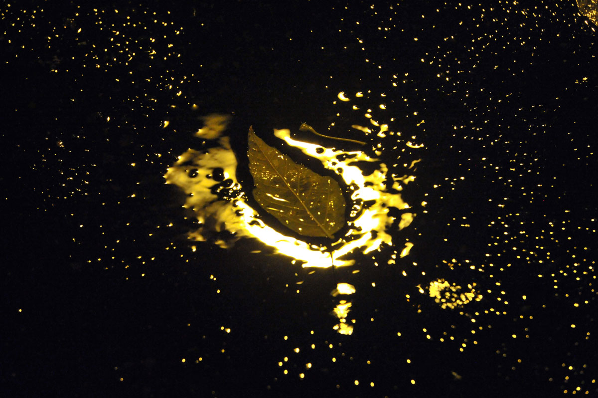 Bernd Weingart – Nocturnes, 140 (2012)