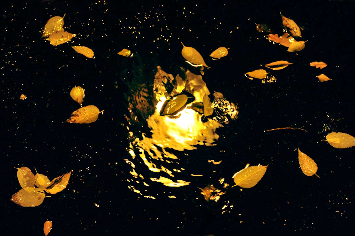 Bernd Weingart – Nocturnes, 145 (2012)