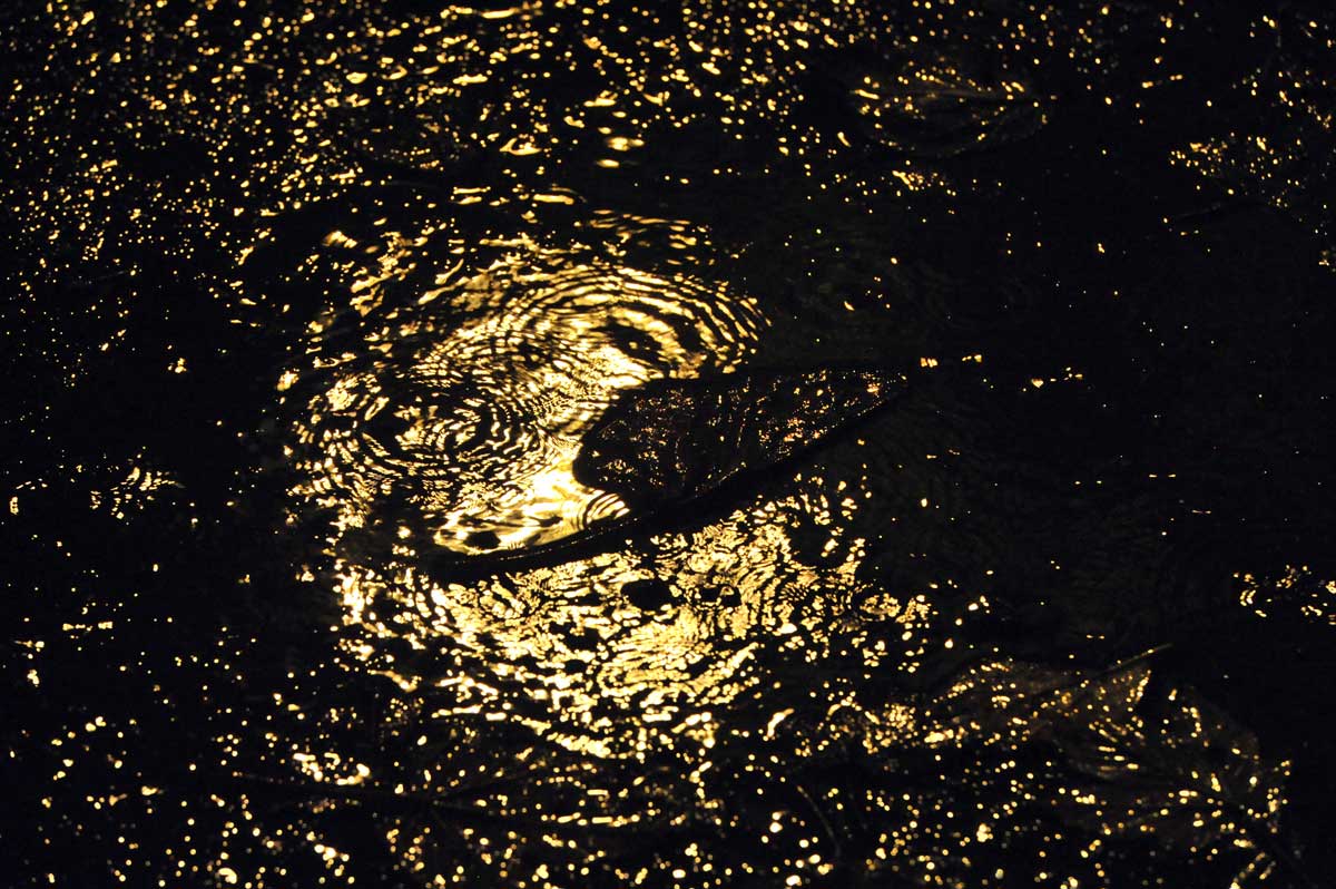 Bernd Weingart – Nocturnes, 207 (2012)