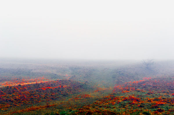 Bernd Weingart – Ode for the Rother Hög No. 2 (2013)
