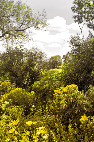 Bernd Weingart – Ode an den Feldweg Nr. 2 (2015)