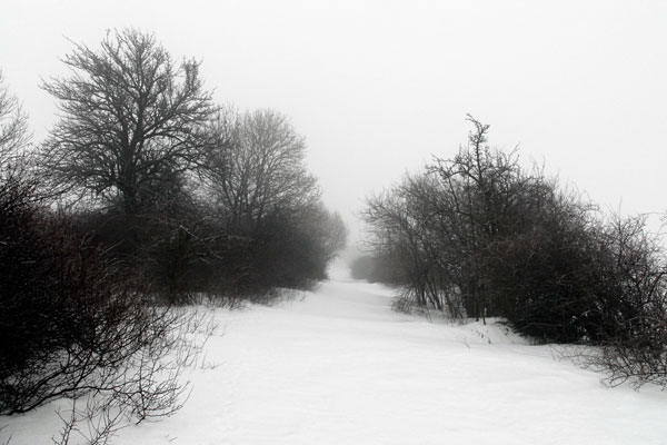 Bernd Weingart – Ode an den Heimweg Nr. 2 (2009 lfd.)