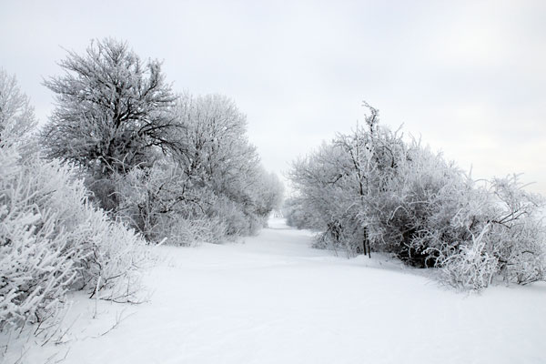 Bernd Weingart – Ode an den Heimweg Nr. 3 (2009 lfd.)