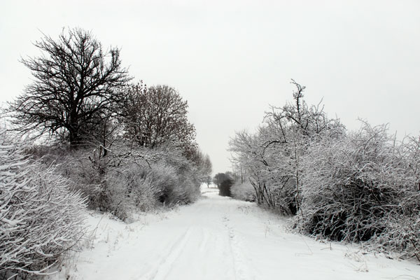 Heimweg 