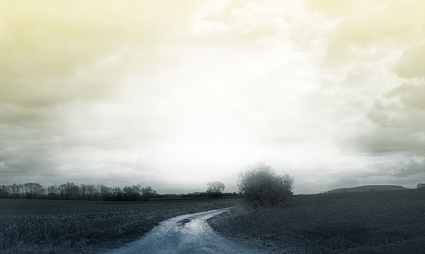 Echoes - Apparition on the Pathway (2008)