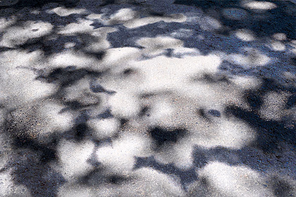 Bernd Weingart – White Path, Fig. 007 (2012)