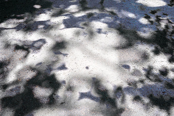 Bernd Weingart – White Path, Fig. 012 (2012)