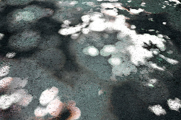 Bernd Weingart – White Path, Fig. 018 (2012)