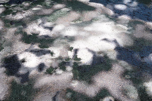 Bernd Weingart – Weißer Weg, Fig. 024 (2012)