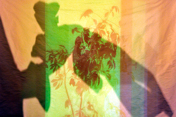 Bernd Weingart – Píyǐngxí, Diptych No. 01/2 (2012)