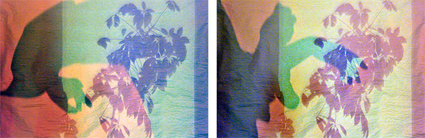 Píyǐngxí, Diptych No. 03/1-2 (2012)