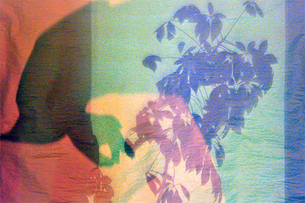 Bernd Weingart – Píyǐngxí, Diptych No. 03/1 (2012)