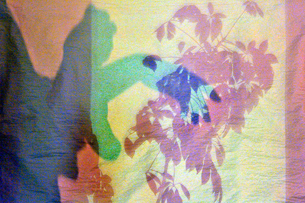 Bernd Weingart – Píyǐngxí, Diptych No. 03/2 (2012)