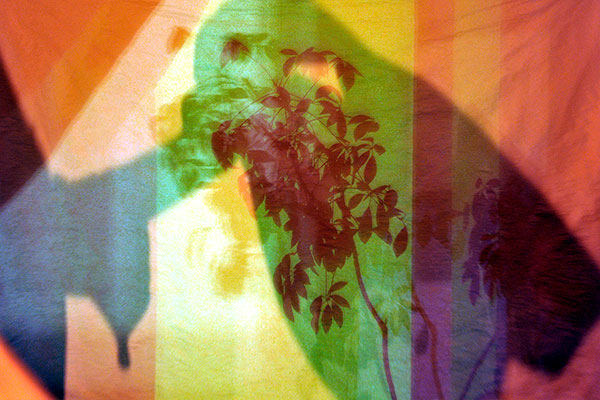 Bernd Weingart – Píyǐngxí, Diptych No. 05/2 (2012)