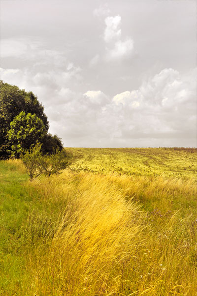 Ode to the Pathway 1