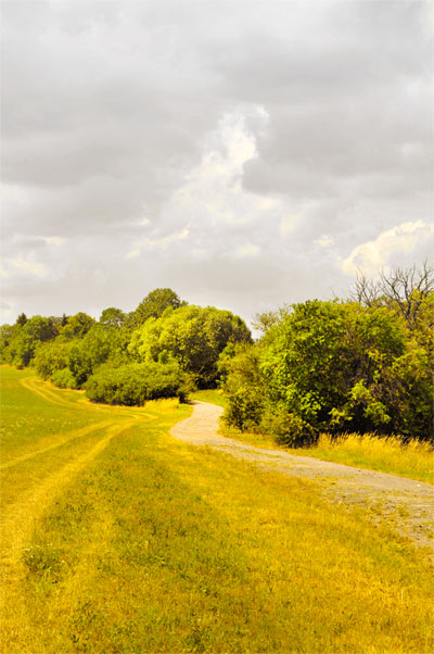 Am Feldweg 