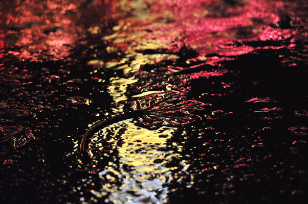 Bernd Weingart – Nachtstücke, Nr. 164 (2013)