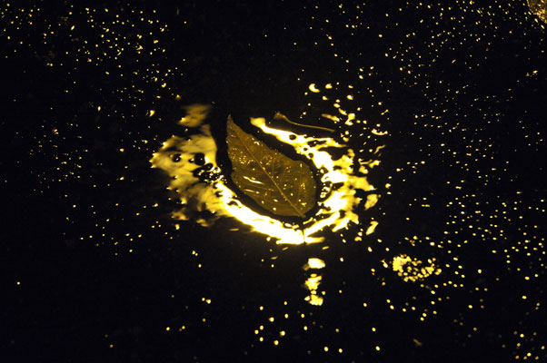 Bernd Weingart – Nocturnes, 140 (2012)