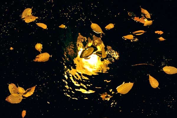 Nachtstücke, Nr. 145 (2012) – Werkserie von Bernd Weingart