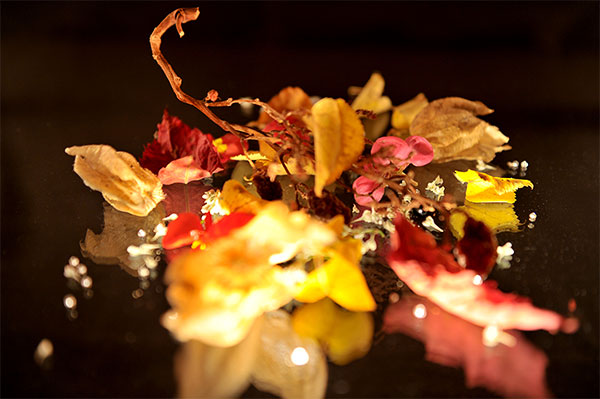 Lux Mortem, Fluctus Temporis 01 (2020) – Work Group by Bernd Weingart