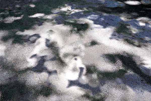 White Path